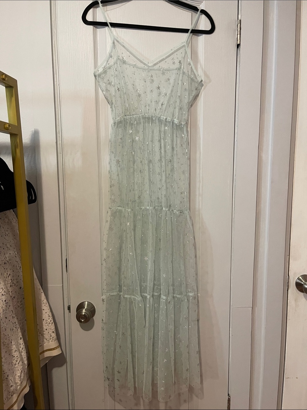 Sheer Star Mesh Maxi Dress in Pale Mint